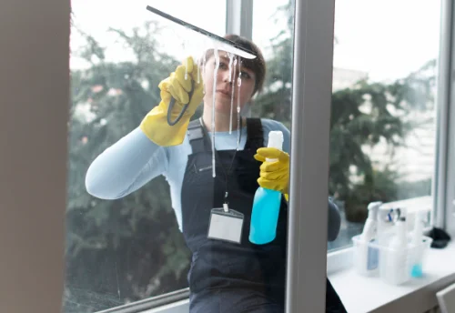 Nettoyage de vitres intérieures et extérieures à Naves